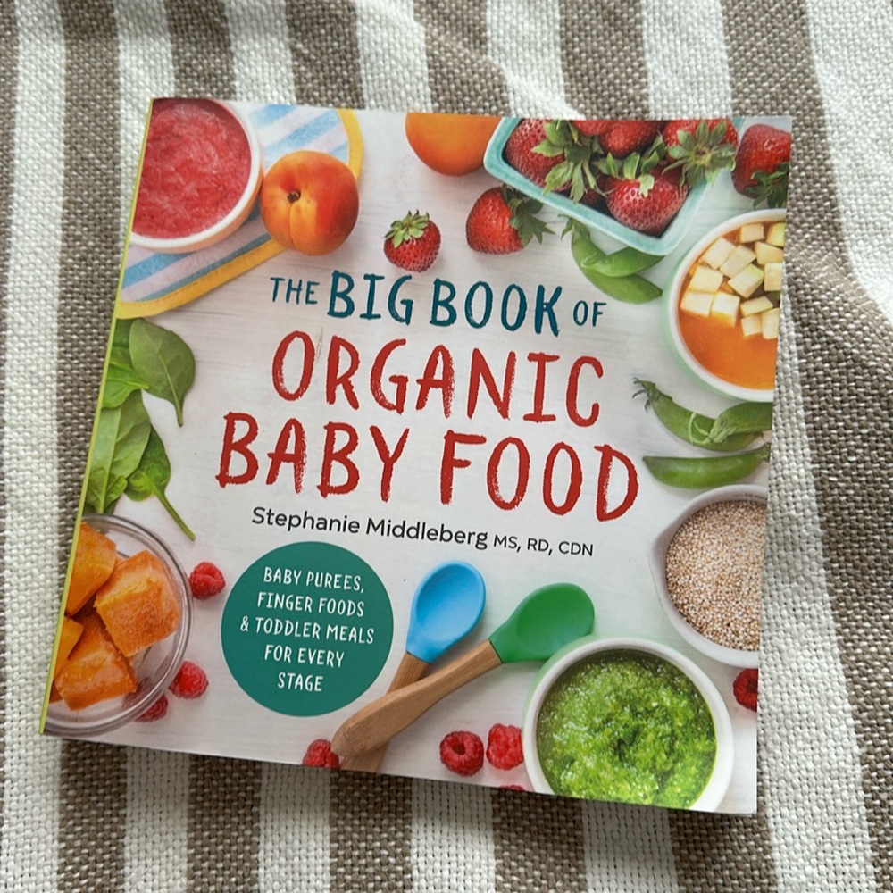 The Big Book of Organic Baby Food